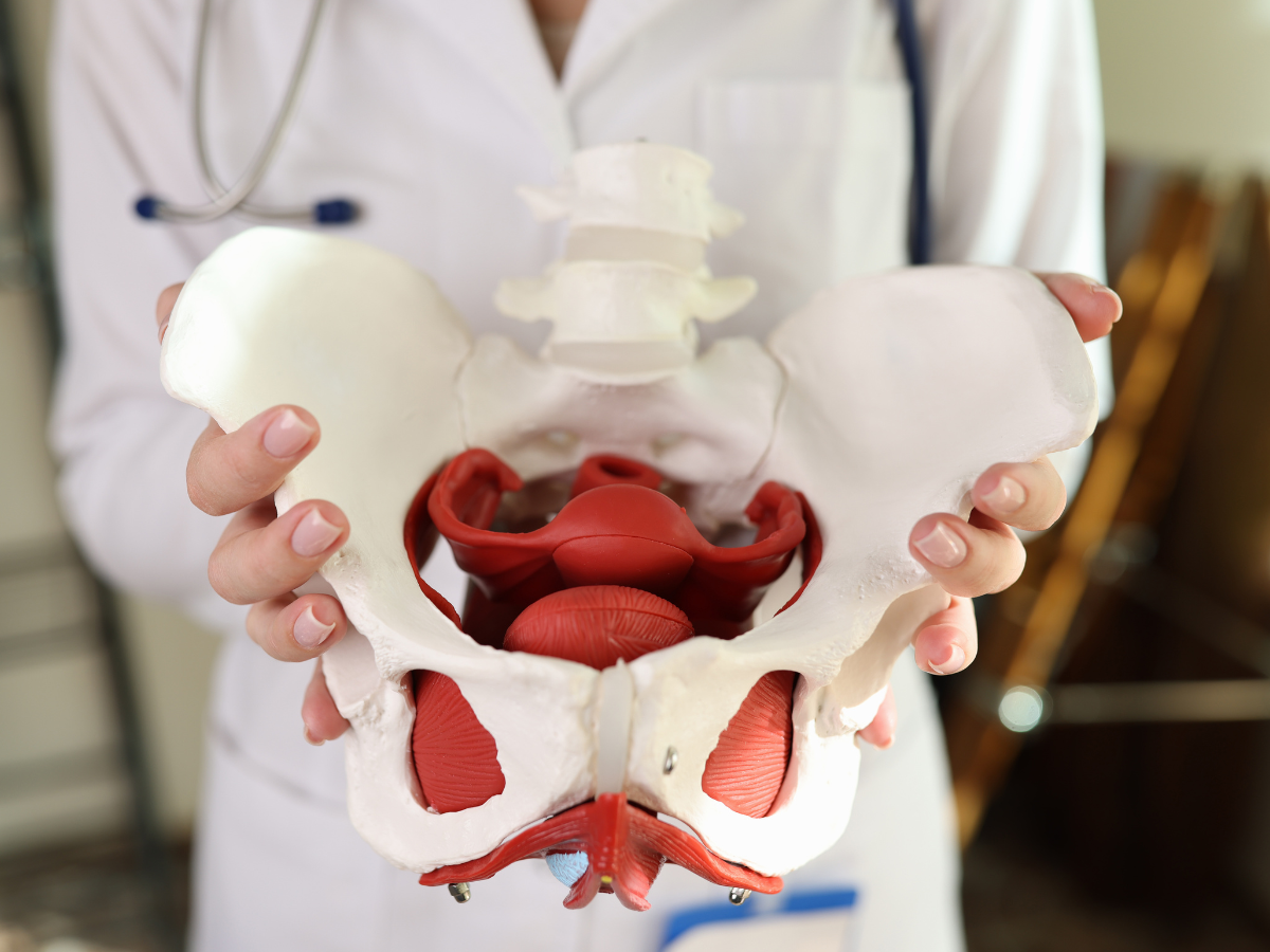 Pelvic pain | DiscovHER Health | Complex GYN and Sexual Health Specialist serving Washington D.C., Maryland, and Virginia. Virtual and In-person appointments available!