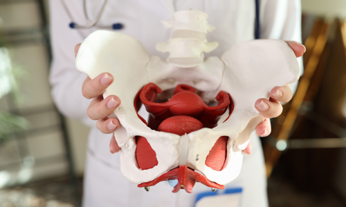 When Pelvic Floor Therapy Doesn't Work| DiscovHER Health | Complex GYN and Sexual Health Specialist serving Washington D.C., Maryland, and Virginia. Virtual and In-person appointments available!